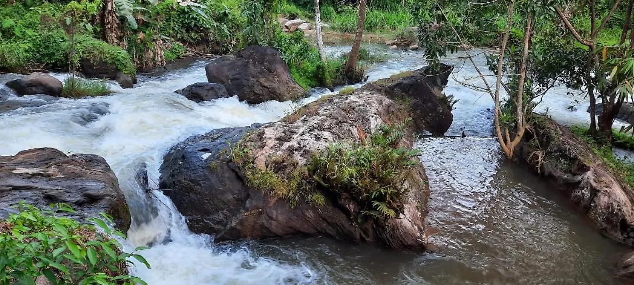 Linn View Home Stay Munnar Homestay