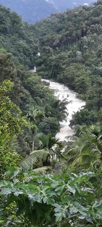 Homestay Linn View Home Stay Munnar
